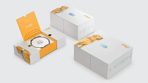 當凡爾賽遇上寵物設計 那些聊不完的話題與圖文藝術